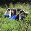 Wildlife recording in Glasgow: from Big Garden Birdwatch to City Nature Challenge
