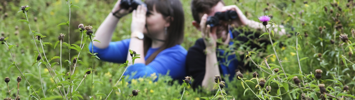 Wildlife recording in Glasgow: from Big Garden Birdwatch to City Nature Challenge
