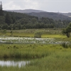 Environmental Standards Scotland - safeguarding Scotland&#39;s nature