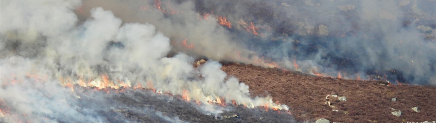 Muirburn: Scotland’s uplands going up in smoke in the nature and climate emergency