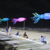 Aberdeen&#39;s SPECTRA Festival celebrates Scotland&#39;s coasts and waters