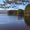 My Internship with RSPB Scotland Central Highlands