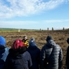 Nature Festival highlights natural wonders of Orkney Islands!