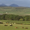 Supporting High Nature Value farming and crofting is the right thing for Scottish agriculture