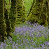 Nature recognised as vital part of Scotland’s infrastructure