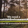 Investing in nature-based solutions through a Scottish Environment Act