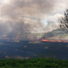 An update following the fire at the Tay Reedbeds