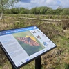 Explore the new 500m boardwalk at Montiaghs Moss Nature Reserve
