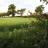 25 YEP refresh series: Getting ELMs right for nature positive farming