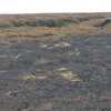 Tracking burning in the UK&#39;s precious uplands