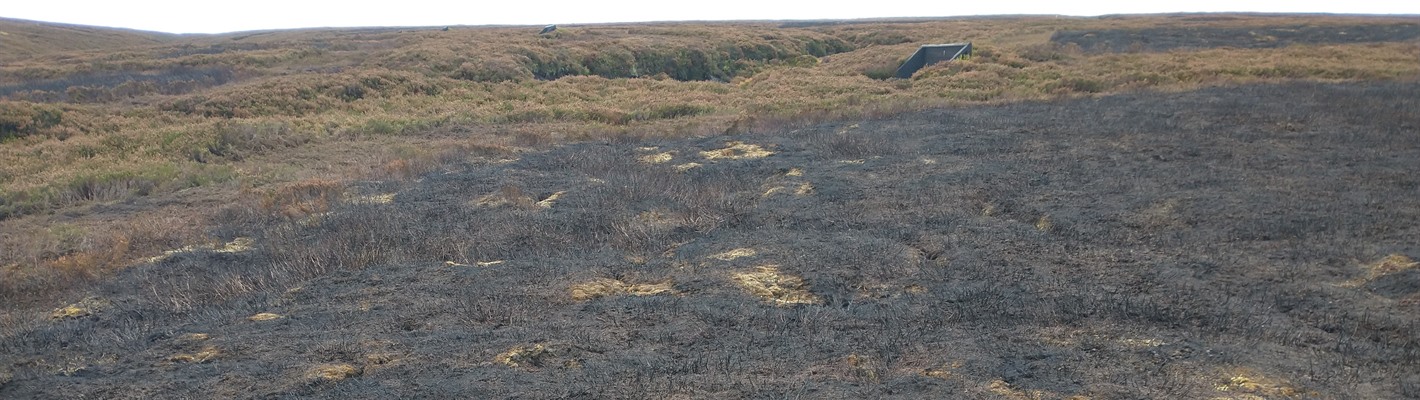 Tracking burning in the UK&#39;s precious uplands