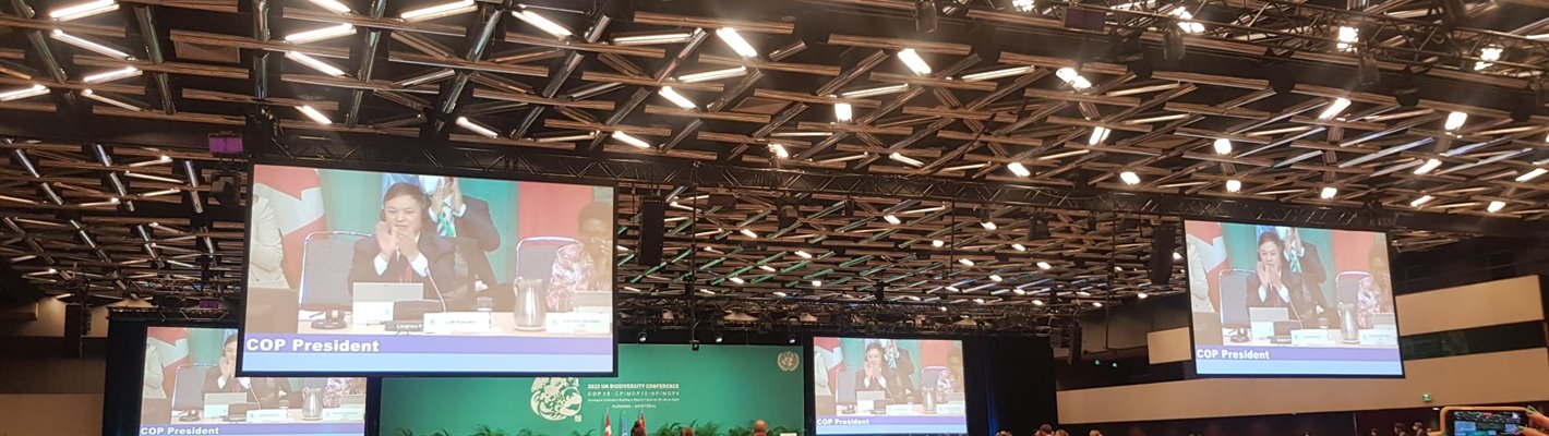 The finish line of COP15: A new Global Biodiversity Framework is adopted!