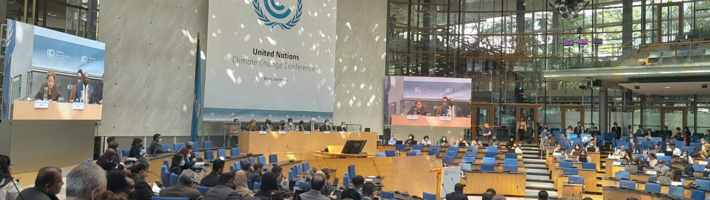 Bonn climate talks: Three days in the life of a climate change expert