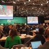 COP16: Time to get back on track for nature