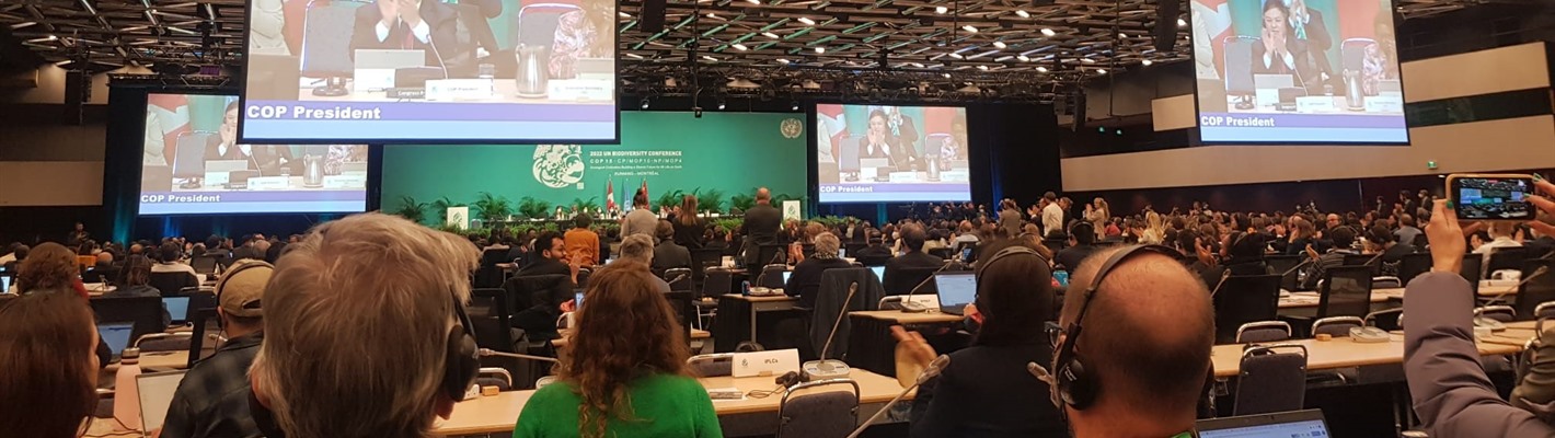 COP16: Time to get back on track for nature