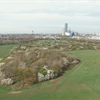 Why Policy Matters: Working together for wildlife at Wormwood Scrubs