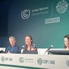 COP28: Progress Made, Challenges Remain - Navigating the Road Ahead