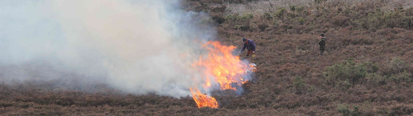 Burning in the UK’s uplands: the need for a precautionary approach