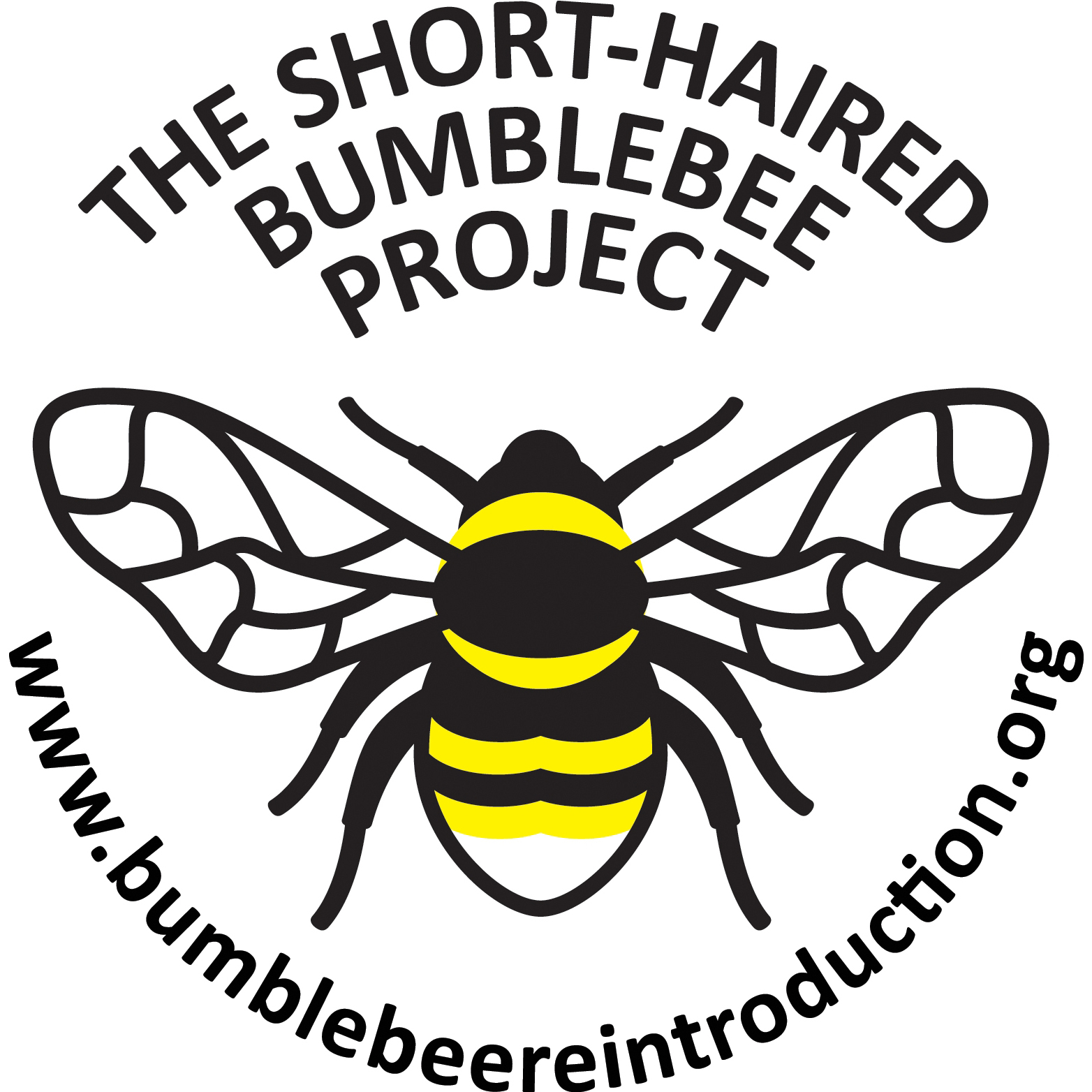 Welcome To Our New Short Haired Bumblebee Blog Dungeness