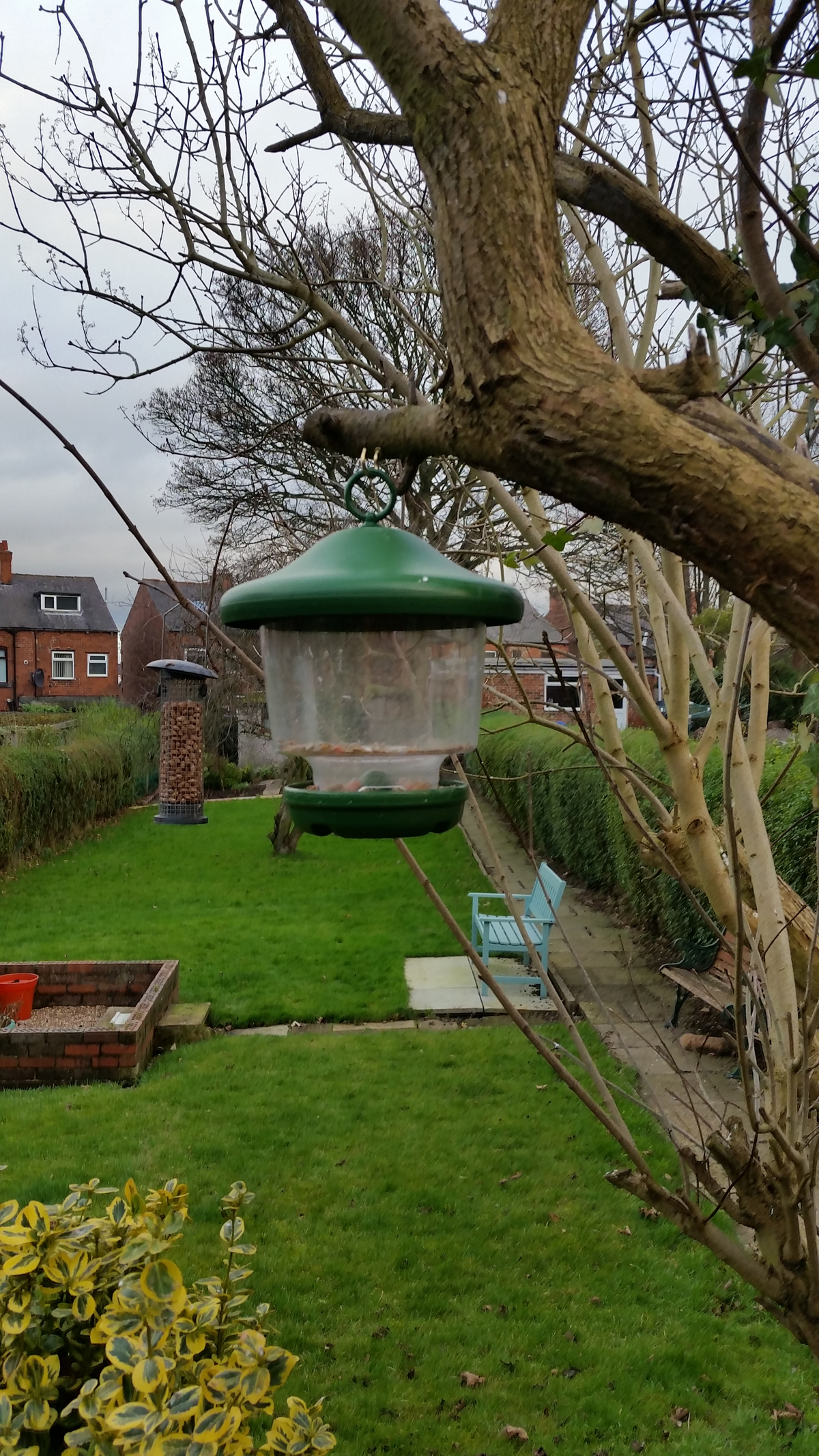 Rspb My Favourites Feeder Feeding Garden Visitors Wildlife