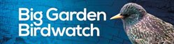 Big Garden Birdwatch 2016