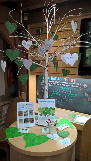 Children have been hanging green hearts to #ShowtheLove at #RSPBPulborough Brooks