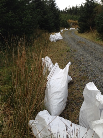 Harvested bags of Sphagnum each containing 25 handfuls