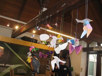 Craft activities in the Discovery Centre