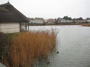 Radipole Lake Discovery Centre