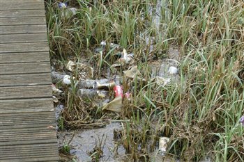  Food and drink packaging in the marsh