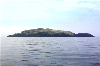 RSPB Grassholm Island