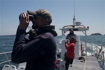  seabird counting (P Ramsey)