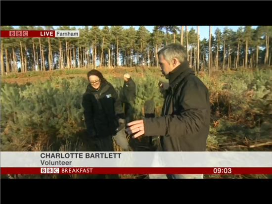 Tim Muffett reporting (c) BBCTV