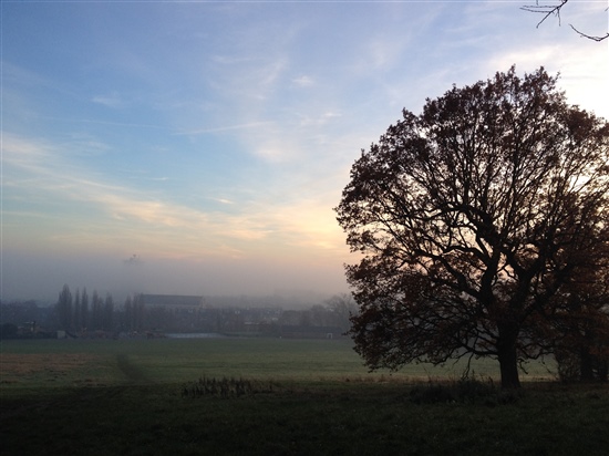 Hampstead Heath looking towards the city