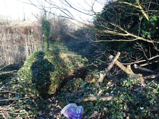 The sun setting on the photographers back casts long shadows across the overgrown site.