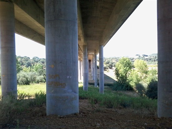 A shady spot on the walk