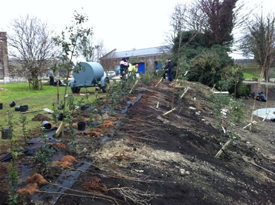 After the ground clearance comes the landscaping and planting