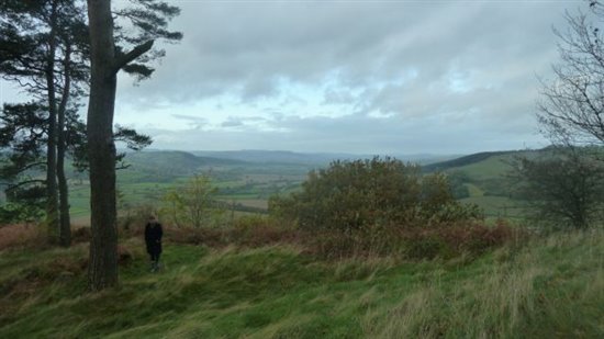 Lush countryside like this is not accidental and is far from the monocultures that the wrong subsidies could encourage.