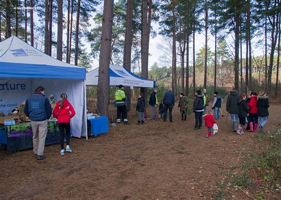  A few of the visitors getting kitted out to pull pines (c) Mary Braddock
