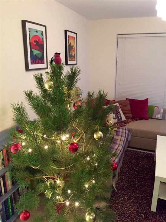 An RSPB Farnham Scots pine decorated for Christmas (c) Tiffany Francis