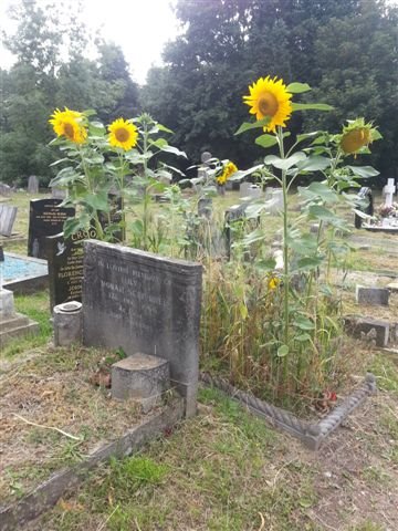Whatever your outdoor space you can support nature and brighten memories like Jan Buffoni's family grave in Finchley.