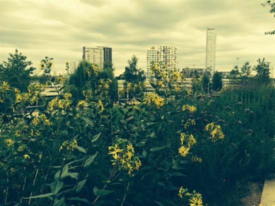 Stratford in east London seen from the Queen Elizabeth Olympic Park @NoOrdinaryPark