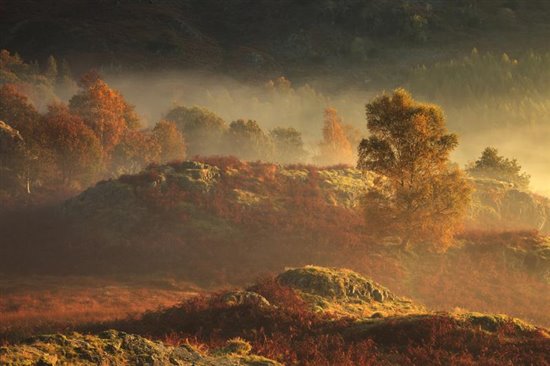 Lake District in autumn by Guy Rogers for rspb-images.com