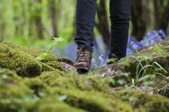 Lady walking through bluebell wood. Image by David Broadbent (www.rspb-images.com)