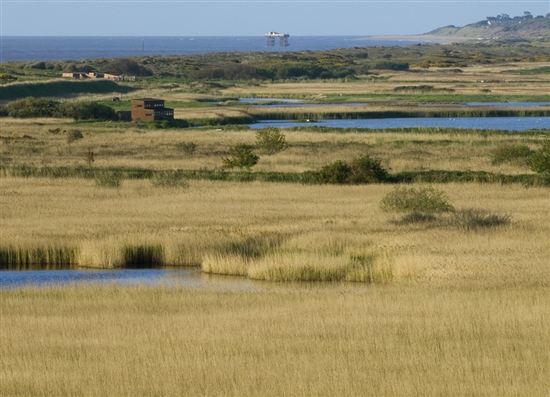 View of Minsmere. Photo by David Tipling (www.rspb-images.com)