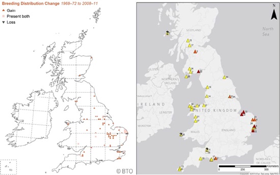 Maps showing breeding distribution of bitterns and locations of storm surges