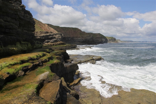 Picture of the Filey coast area. Photo courtesy of Guy Anderson.