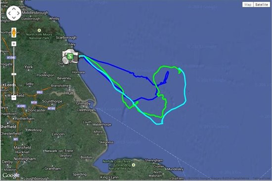 GPS track of a bird tagged at Flamborough Head. 