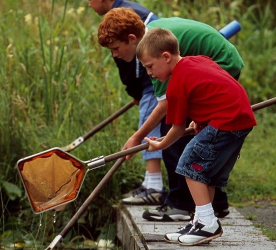 Pond dipping