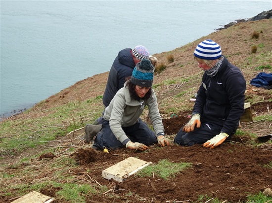  Sarah, Mike and Kathy digging in shearwater boxes (G Morgan)